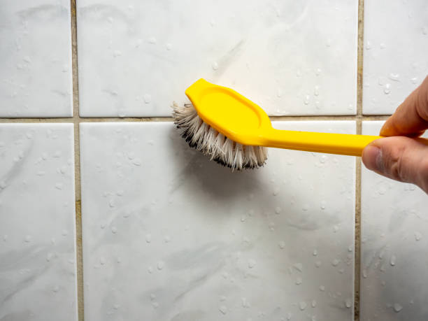 Best Emergency Mold Removal  in Massillon, OH