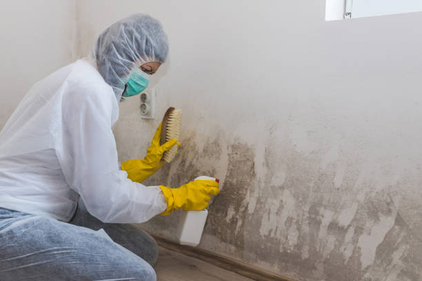 Crawl Space Mold Removal in Massillon, OH