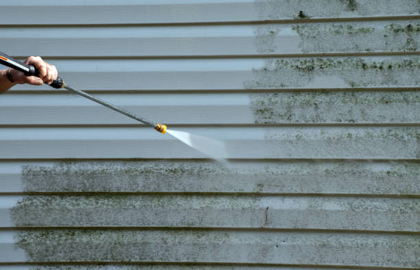 Attic Mold Removal in Massillon, OH